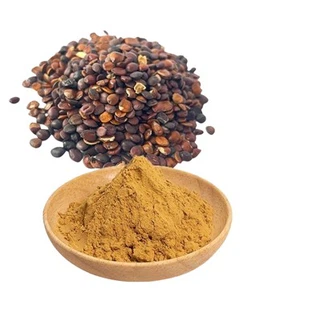 Ziziphus জুজুবা বীজ নিষ্কাশন
